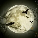 Regali per Halloween