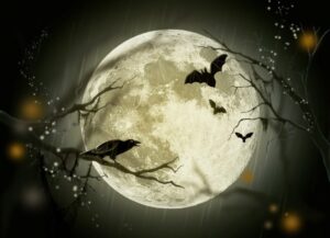 Regali per Halloween